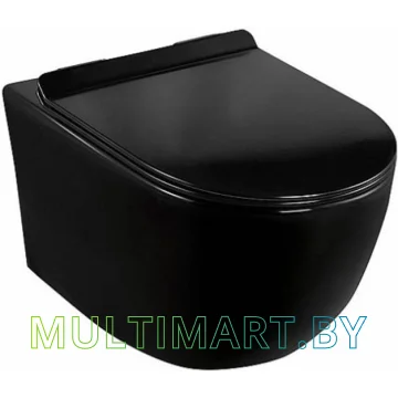 Унитаз Calani Loyd Slim CAL-C0020 (черный)
